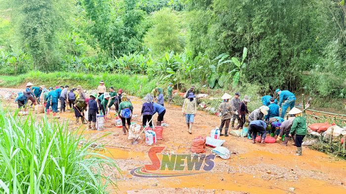 Ban Chỉ huy quân sự xã và lực lượng dân quân cùng nhân dân bản Chộ Muông ra quân khắc phục thiên tai, bảo vệ diện tích lúa mùa.