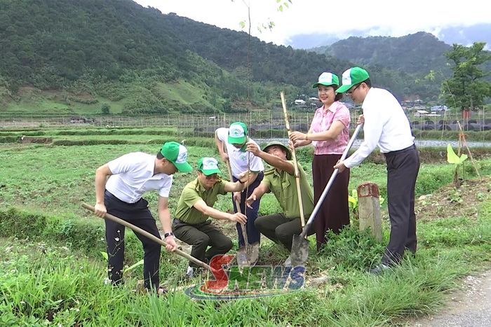 Đảng ủy xã Ngọc Chiến cùng nhân dân trồng cây mai anh đào.