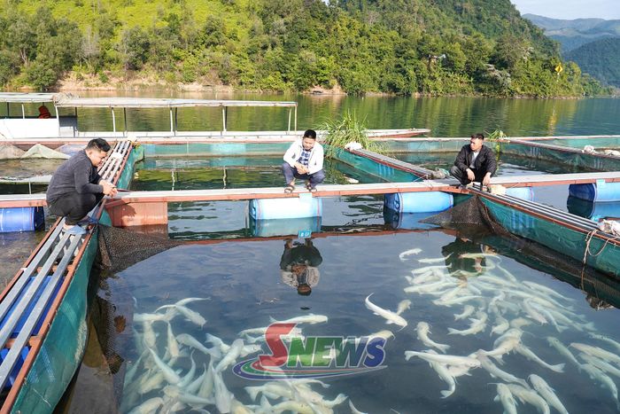 Các thành viên HTX nuôi trồng thủy sản Hồ Quỳnh, xã Quỳnh Nhai trao đổi kỹ thuật nuôi cá lồng.