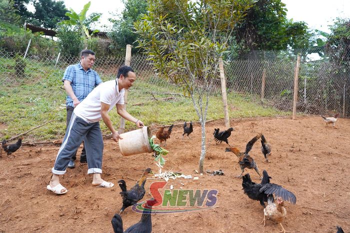 Nông dân xã Long Hẹ chăn nuôi gà đen theo quy trình sản xuất nông sản an toàn.