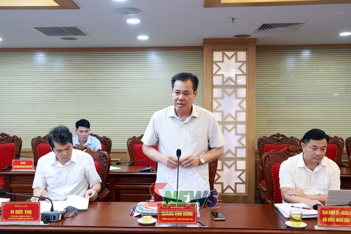 Trưởng ban Kinh tế - Ngân sách HĐND tỉnh kết luận hội nghị thẩm tra.