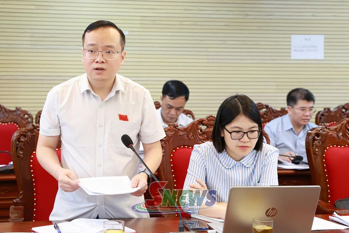 Thành viên Ban Kinh tế - Ngân sách, HĐND tỉnh nêu ý kiến thẩm tra.