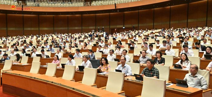 Các đại biểu dự phiên họp. Ảnh: Quang Khánh