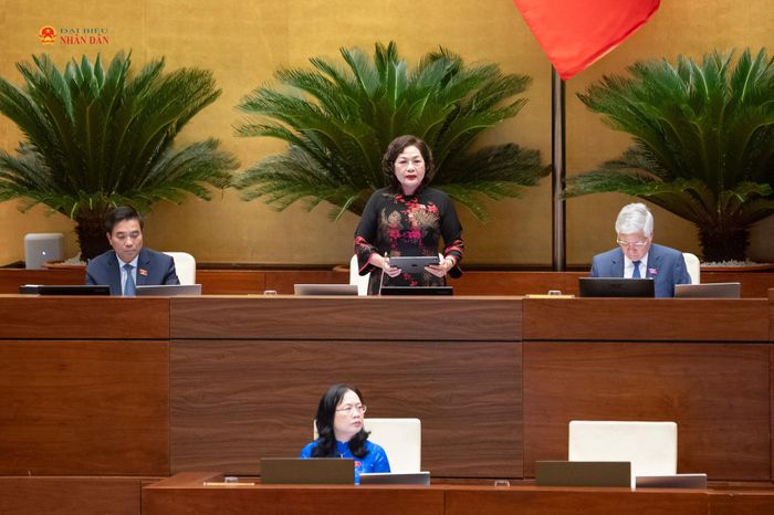 Phó Chủ tịch Quốc hội Nguyễn Thị Hồng điều hành phiên họp. Ảnh: Phạm Thắng