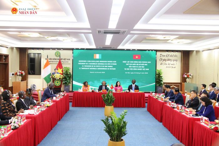 Chủ tịch Quốc hội Cộng hòa Bờ Biển Ngà Patrick Achi thăm và làm việc với Học viện Nông nghiệp Việt Nam. Ảnh: Đắc Trường