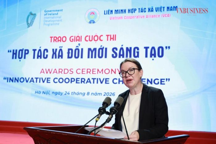 Bà Deirdre Ní Fhallúin, Đại sứ đặc mệnh toàn quyền Ireland tại Việt Nam phát biểu tại Lễ trao giải.