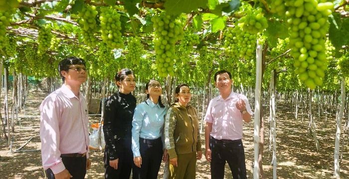 Thêm nguồn lực từ ngân sách địa phương, góp phần để tín dụng chính sách phát huy hiệu quả ở Khánh Hòa.