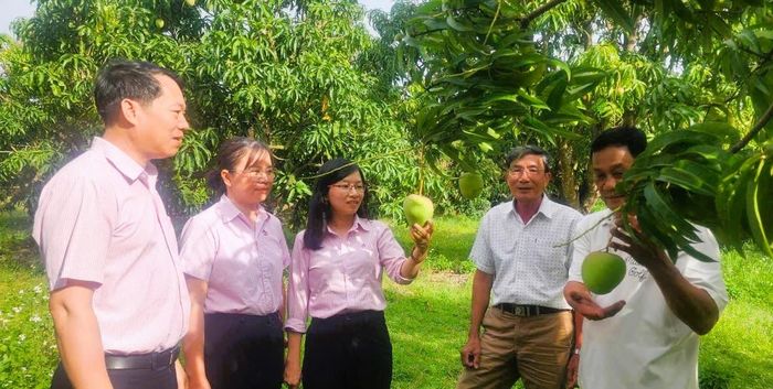 Tín dụng chính sách ngày càng phát huy rõ nét vai trò của mình ở Khánh Hòa.