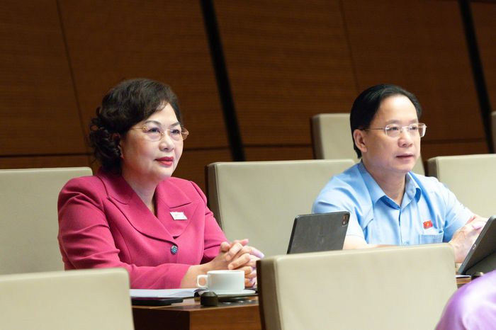 Phó Chủ tịch Quốc hội Nguyễn Thị Hồng và đại biểu tham dự Phiên họp (Ảnh: CTTĐTQH)