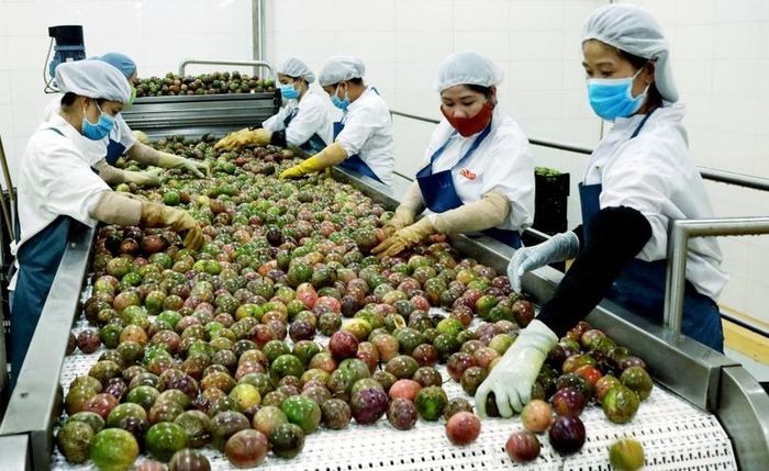 Khi dòng vốn được khơi thông với chi phí hợp lý, không chỉ doanh nghiệp và người dân được hưởng lợi mà còn tạo thêm động lực cho sản xuất, kinh doanh - Ảnh PV