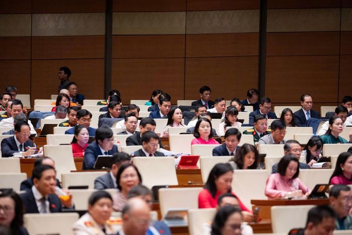 Các đại biểu dự phiên họp.