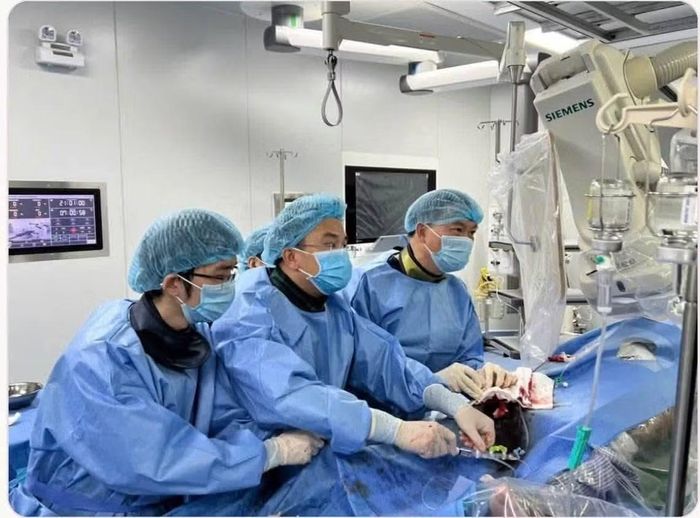 GS.TS Phạm Mạnh Hùng, Viện trưởng Viện Tim mạch, Bệnh viện 19-8 và ê-kíp thực hiện tiêm tế bào gốc tự thân điều trị bệnh cơ tim giãn cho người bệnh.