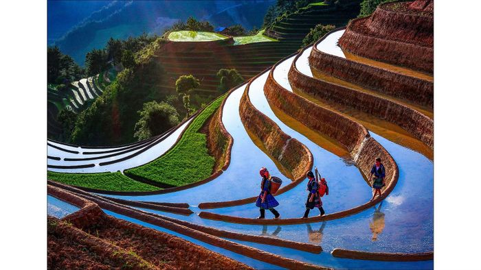 Một số hình ảnh sẽ được trưng bày tại triển lãm.