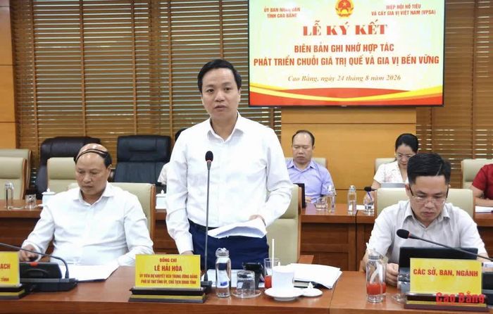 Chủ tịch UBND tỉnh Lê Hải Hòa phát biểu tại buổi làm việc.