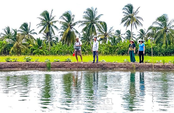 Phát huy lợi thế đất đai cùng các điều kiện sản xuất sẵn có, người dân xã Khánh Hưng đa dạng hoá mô hình kinh tế, tạo sinh kế và đóng góp vào tăng trưởng của địa phương.