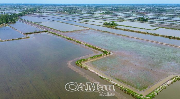 Cà Mau đã cập nhật thành công hơn 1 triệu thửa đất vào hệ thống cơ sở dữ liệu số.