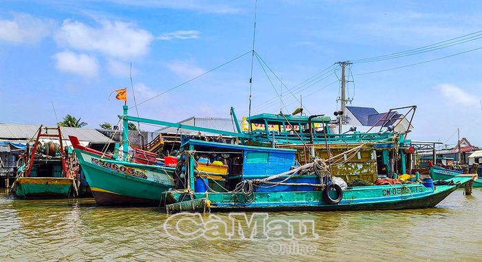 Tàu cá neo đậu tại cửa biển Khánh Hội (xã Khánh Lâm).