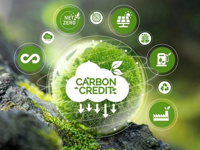 Bộ Nông nghiệp và Môi trường đề xuất phân cấp quản lý tín chỉ carbon. (Ảnh minh họa)