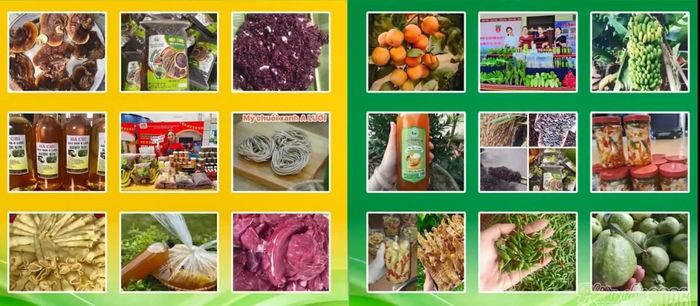 Mỗi sản phẩm được giới thiệu sẽ trở thành câu chuyện về vùng đất, người sản xuất và phương thức tạo ra sản phẩm...