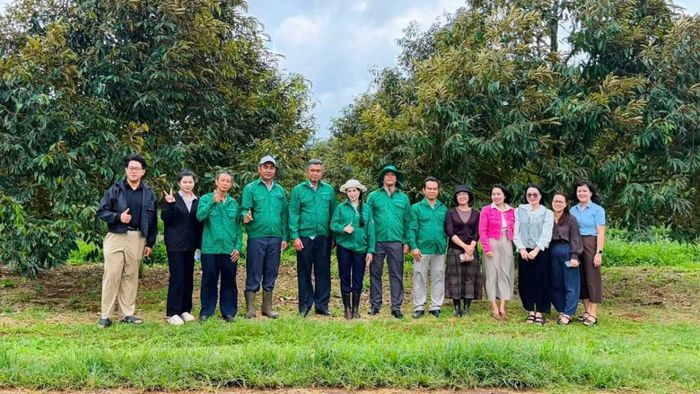 Các đại biểu chụp ảnh lưu tại vườn sầu riêng.