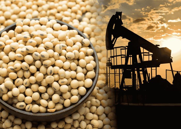 Tuần qua, sắc xanh bao phủ toàn bộ nhóm năng lượng và nông sản. Ảnh: MXV