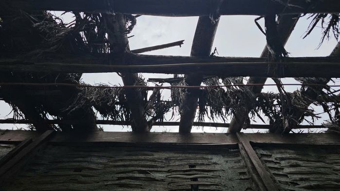 Theo ghi nhận, mái tranh của ngôi nhà hiện bị bong rách, mục nát khiến ánh nắng dễ dàng xuyên thấu vào bên trong. Ảnh: H.D.