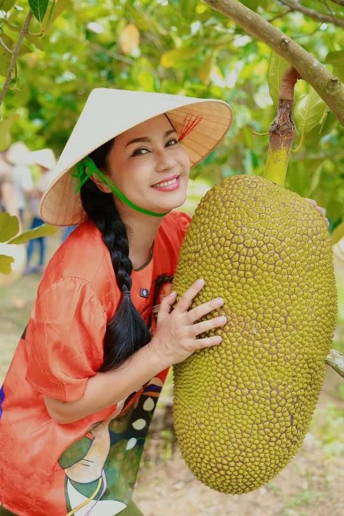Sắc đẹp thuần Việt nền nã, đường nét khuôn mặt ưu tú, thanh nhã của Việt Trinh trong mỗi thước phim đã trở thành một biểu tượng nhan sắc khó phai của nền điện ảnh những năm 90. Thông tin trên Ngôi sao cho biết, năm 2022, diễn viên quyết định giải nghệ để dành thời gian cho gia đình, đặc biệt là con trai đang ở tuổi dậy thì. Việt Trinh cũng từng trải qua quãng thời gian đối mặt với bệnh trầm cảm, phải điều trị bệnh trong khoảng ba năm.