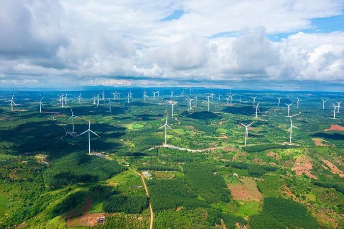 Năng lượng Trung Nam vi phạm chứng khoán (nguồn ảnh minh họa: Trungnamgroup).