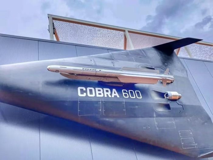 Một trong những tính năng chính của Cobra 600 là hệ thống càng đáp 3 chân có thể thu vào, cho phép nó cất và hạ cánh trên cả đường băng thông thường và một số đoạn đường cao tốc nhất định.