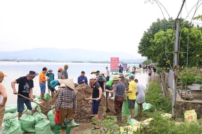 Người dân đổ bao cát để hộ đê Bùi