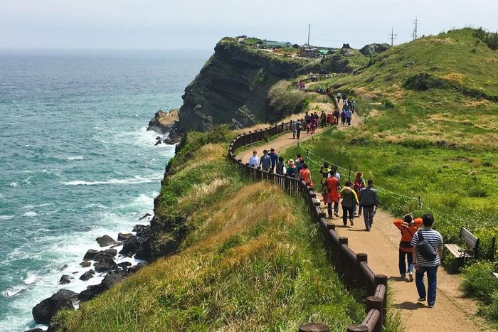  Đường mòn Songaksan Dullegil trên đảo Jeju, Hàn Quốc. Ảnh: SCMP.
