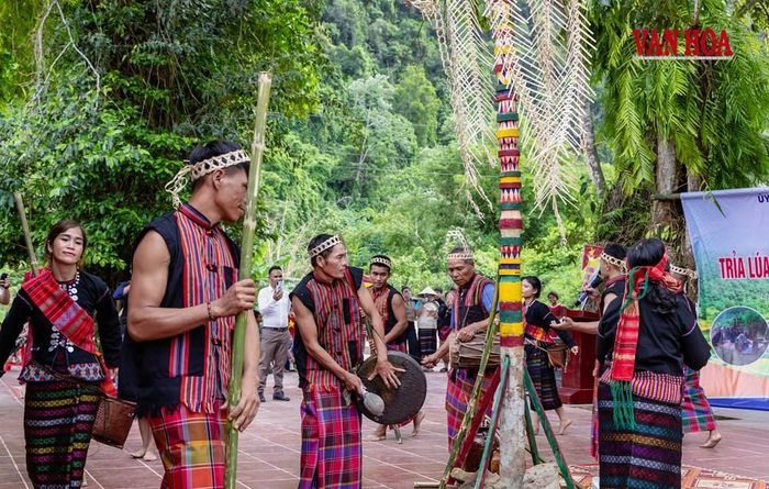 Trình diễn lễ hội