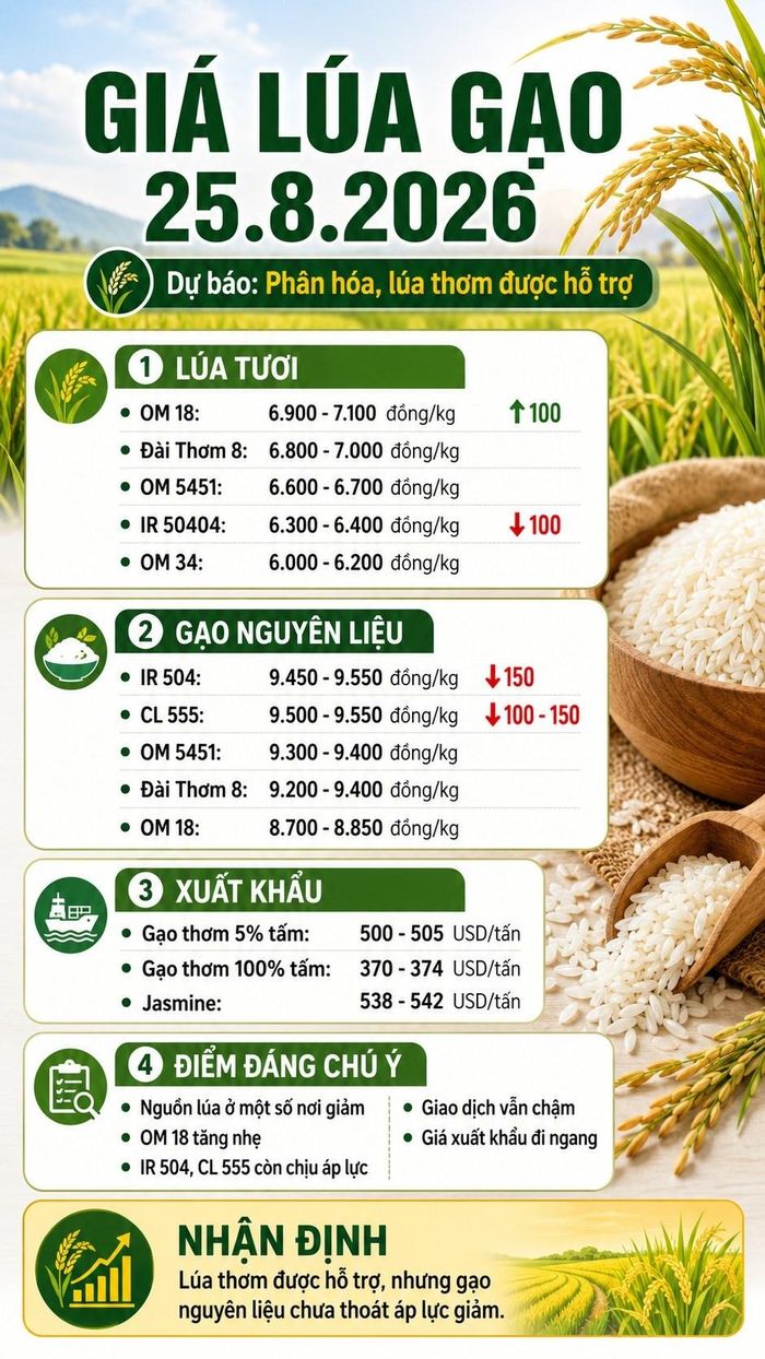 Các mức giá ngày 25.8.2026 là vùng dự báo dựa trên dữ liệu thị trường gần nhất; giá thực tế có thể chênh lệch theo địa phương, chất lượng hàng và thời điểm giao dịch.