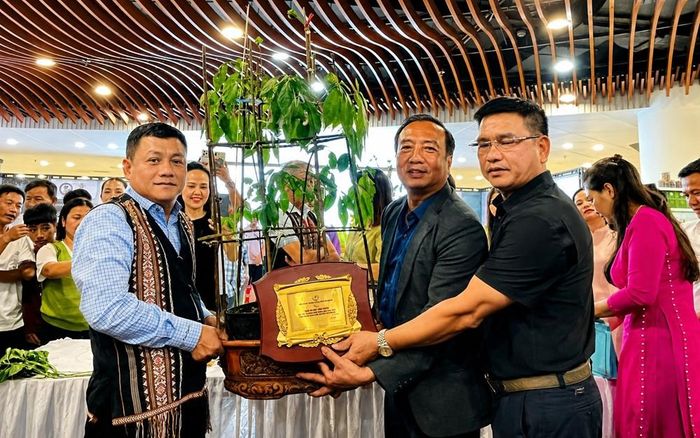 Sản phẩm đoạt giải tại Hội thi sâm đẹp Đà Nẵng 2026 vừa diễn ra ngày 1.8 vừa qua