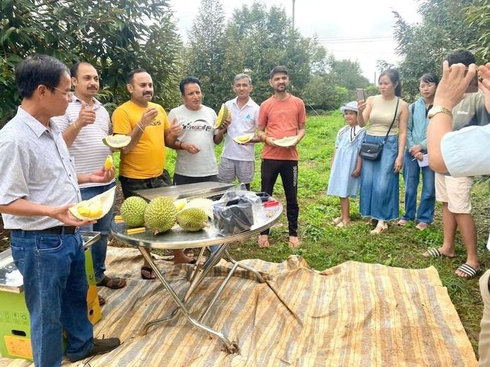 Người dân Ia Ly đang chủ động tìm kiếm những phương thức phù hợp với điều kiện thực tế, vừa tiết kiệm chi phí, vừa hướng tới bảo vệ môi trường trong việc trồng trọt và sản xuất