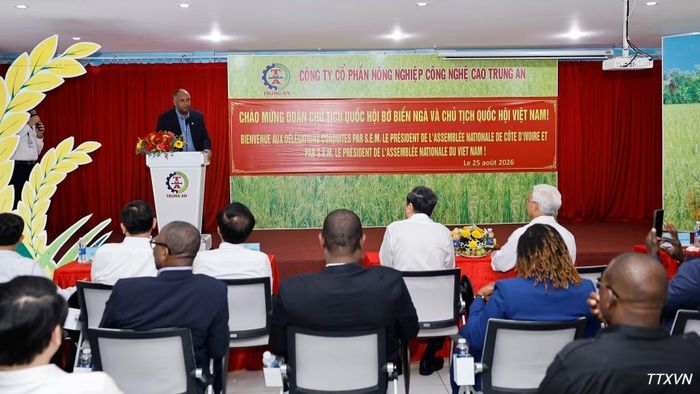 Chủ tịch Quốc hội Cộng hòa Bờ Biển Ngà Patrick Achi phát biểu. (Ảnh: Doãn Tấn/TTXVN)