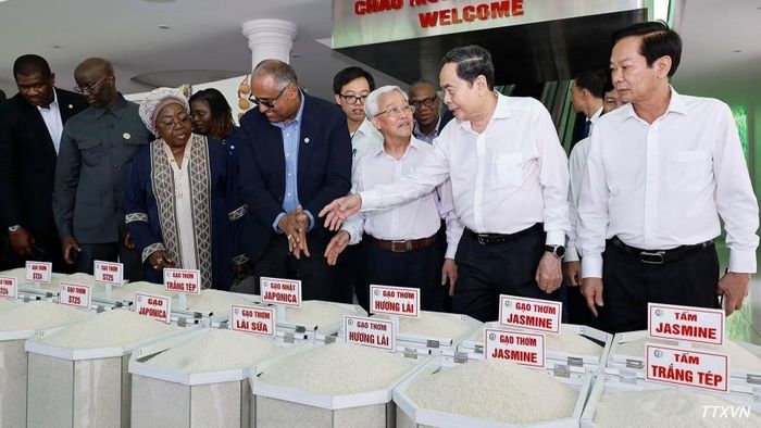 Chủ tịch Quốc hội Trần Thanh Mẫn và Chủ tịch Quốc hội Bờ Biển Ngà Patrick Achi xem sản phẩm gạo của Công ty Nông nghiệp công nghệ cao Trung An. (Ảnh: Doãn Tấn/TTXVN)