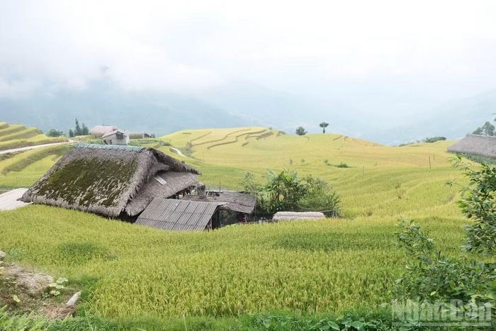 Mở đầu chuỗi sự kiện là Lễ hội mùa vàng-làng nhà rêu và Ngày hội văn hóa dân tộc Dao tại thôn Xà Phìn, xã Thanh Thủy. (Ảnh: KHÁNH TOÀN)