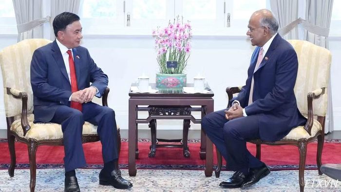 Thường trực Ban Bí thư Trần Cẩm Tú gặp Bộ trưởng Cao cấp, Bộ trưởng Điều phối an ninh quốc gia và Bộ trưởng Nội vụ Singapore K. Shanmugam. (Ảnh: Phương Hoa/TTXVN)