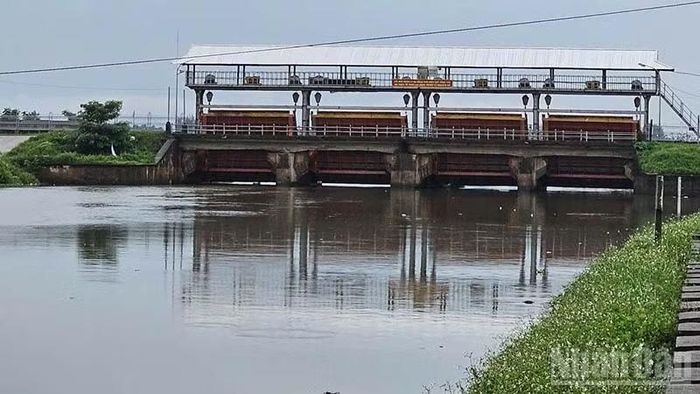 Chiều 25/8, Công ty trách nhiệm hữu hạn một thành viên Sông Chu đang mở cống Quảng Châu tiêu, thoát nước ra sông Mã. (Ảnh: Mai Luận)