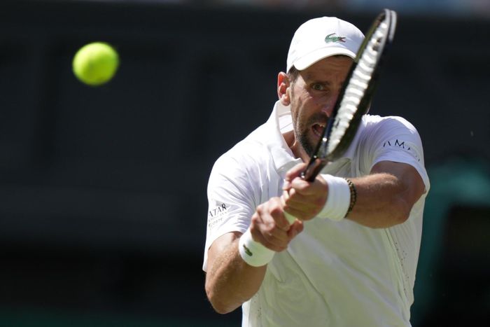 Tay vợt Novak Djokovic. Ảnh: AP 