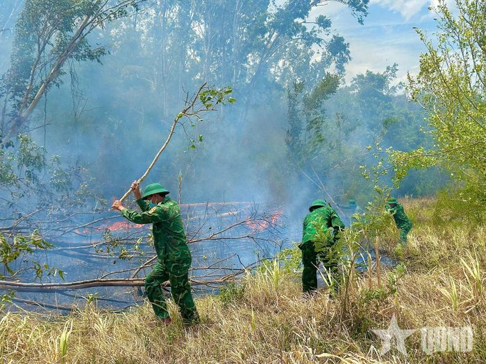 Các lực lượng và người dân địa phương tham gia khống chế đám cháy.