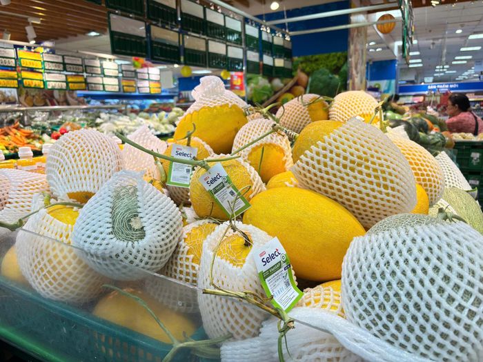 Dưa lưới được gắn tem truy xuất nguồn gốc trên từng sản phẩm, giúp người tiêu dùng dễ dàng kiểm tra thông tin sản phẩm. ẢNH MINH XUÂN