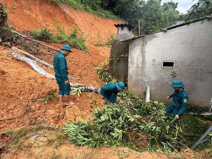  Sạt lở đất tràn xuống vườn nhà dân ở xã Thông Thụ, tỉnh Nghệ An 