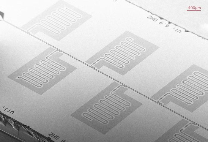 Ảnh chụp từ kính hiển vi điện tử (SEM) của một con chip có các bộ cộng hưởng dựa trên tantali.