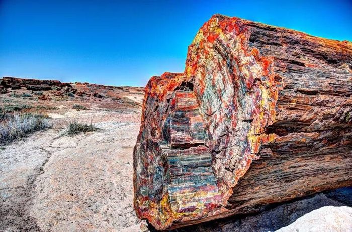 Ảnh: joemonster