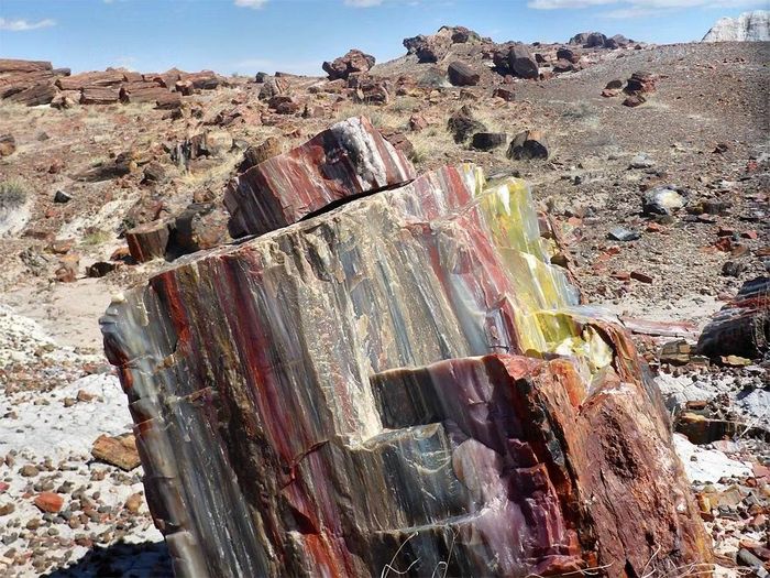 Ảnh: americansouthwest