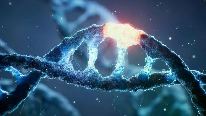 Một số chuỗi trong DNA quyết định các gen được kích hoạt ở đâu và khi nào.