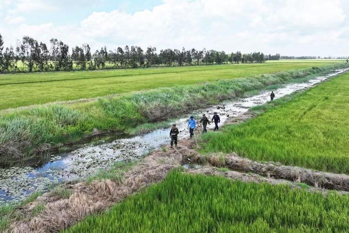 Cơ quan Bộ CHQS tỉnh An Giang tiến hành khảo sát thực địa các vị trí nghi ngờ có hài cốt liệt sĩ tại khu vực Tràm Dù.