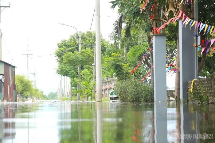 Trước tình trạng trên, lãnh đạo xã Kiều Phú cho biết chính quyền địa phương đã nắm tình hình nước lũ trên địa bàn, thường xuyên kiểm tra và theo dõi diễn biến mực nước.